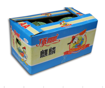 海南麒麟西瓜 11kg